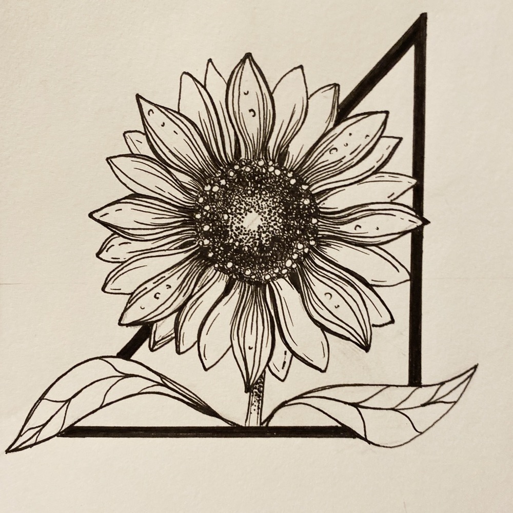 Sunflower Ink Drawings